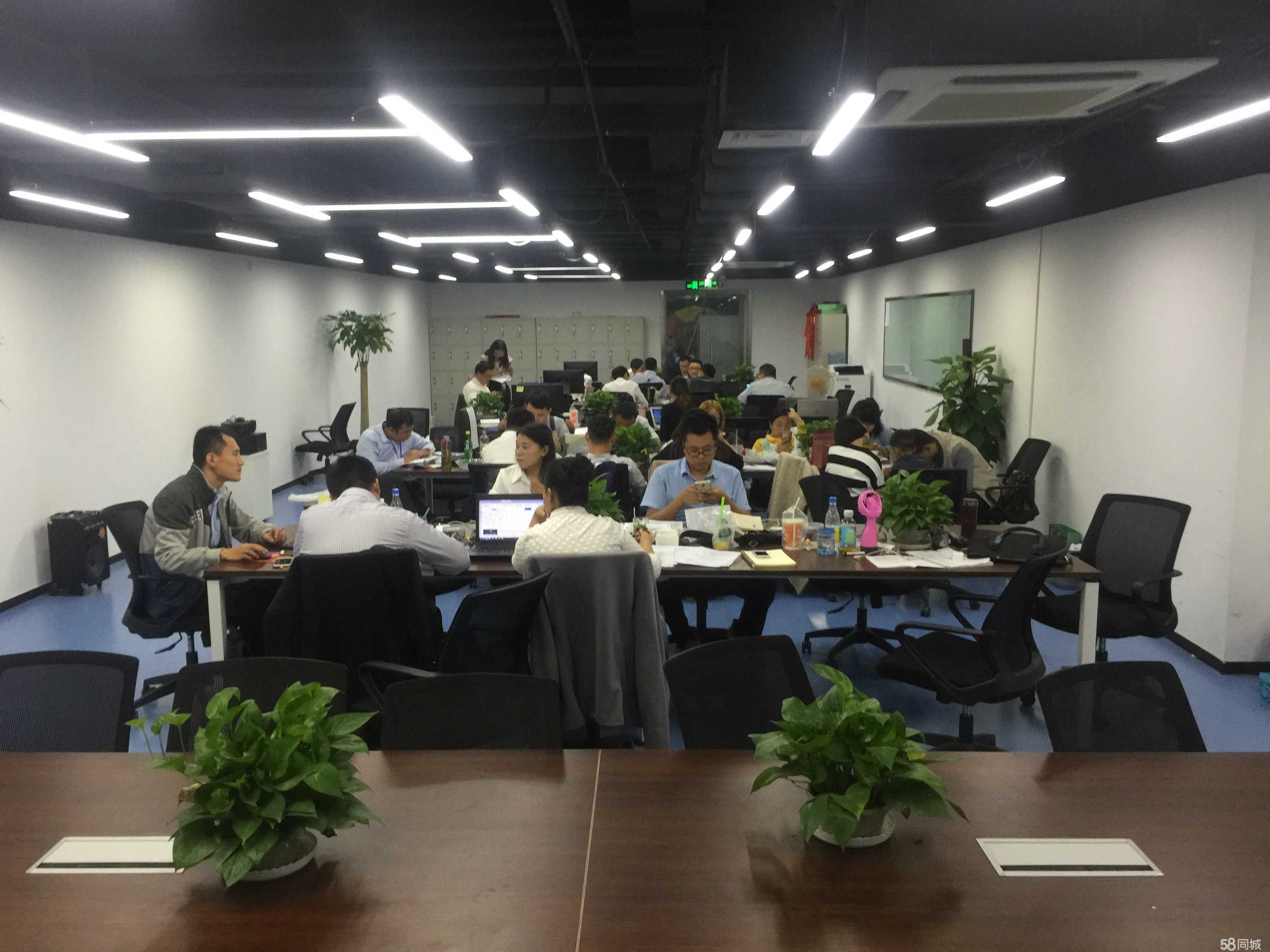 點榮商務(wù)信息咨詢 專業(yè)助力企業(yè)智慧決策